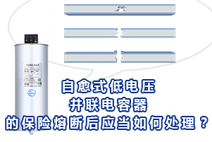 自愈式低电压并联电容器的保险熔断后应当如何处理?
