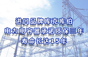 进口品牌库克库伯电力电容器承诺质保三年寿命长达15年