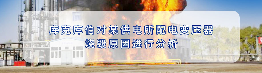 库克库伯对某供电所配电变压器烧毁原因进行分析