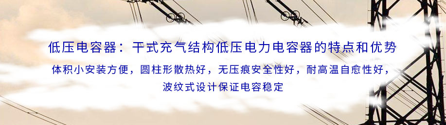 低压电容器：干式充气结构低压电力电容器的特点和优势是什么？