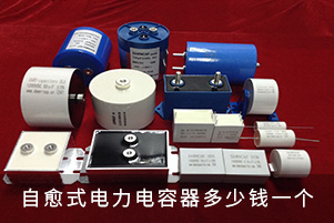自愈式电力电容器多少钱一个