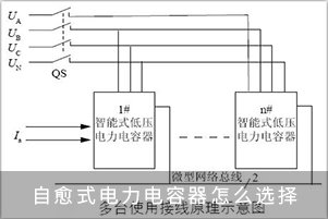 自愈式电力电容器怎么选择