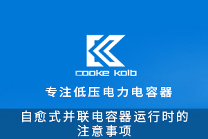自愈式并联电容器运行时的注意事项
