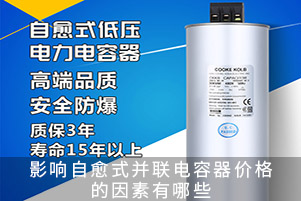 影响自愈式并联电容器价格的因素有哪些