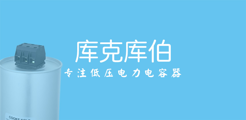 库克库伯专注低压电力电容器