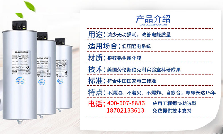 库克库伯并联电力电容器
