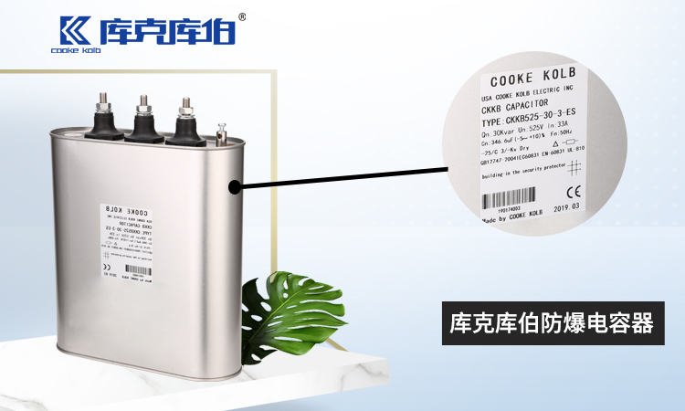 库克库伯防爆型电容器 库克库伯防爆型电容器