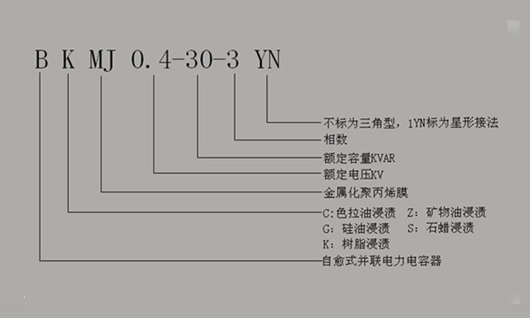 国产电力电容器命名