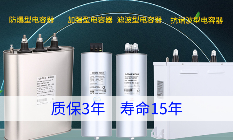 市面上那么多进口电力电容器品牌怎么选