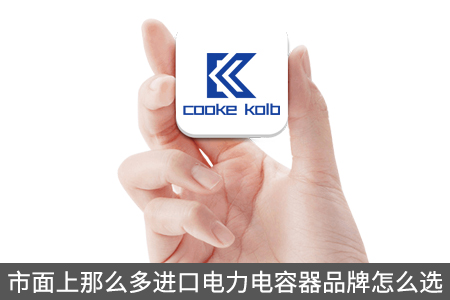 市面上那么多进口电力电容器品牌怎么选