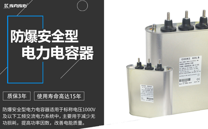 防爆电力电容器