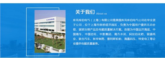 库克库伯公司简介