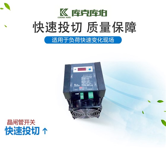 库克库伯晶闸管开关