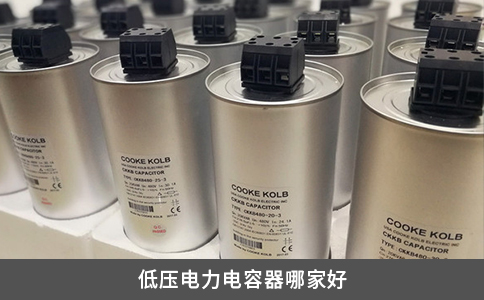 低压电力电容器哪家好