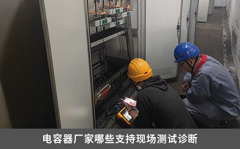 电容器厂家哪些支持现场测试诊断