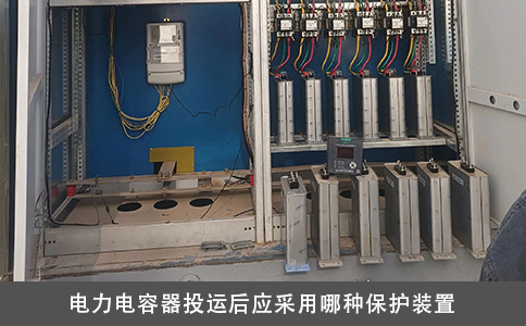 电力电容器投运后应采用哪种保护装置